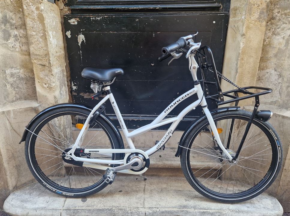 Vélo hollandais Sparta Reconditionné